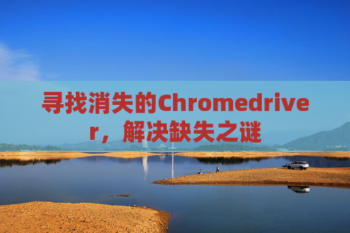 寻找消失的Chromedriver，解决缺失之谜